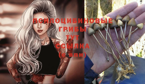 индика Пестово