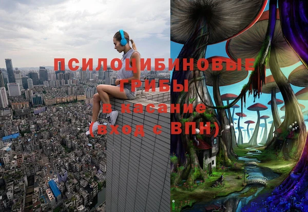 jwh Аркадак
