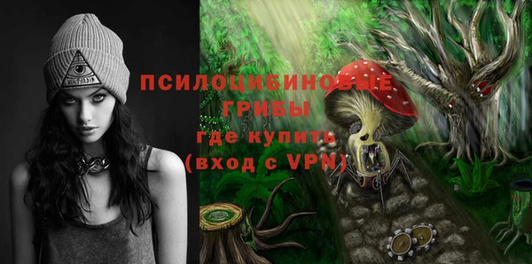 альфа пвп Армянск