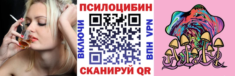 где продают   ОМГ ОМГ ТОР  Псилоцибиновые грибы прущие грибы  Руза 